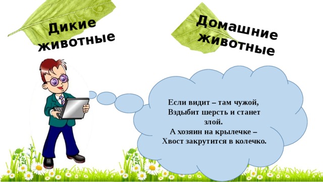 Дикие животные Домашние животные  Если видит – там чужой,   Вздыбит шерсть и станет злой.   А хозяин на крылечке –   Хвост закрутится в колечко. 