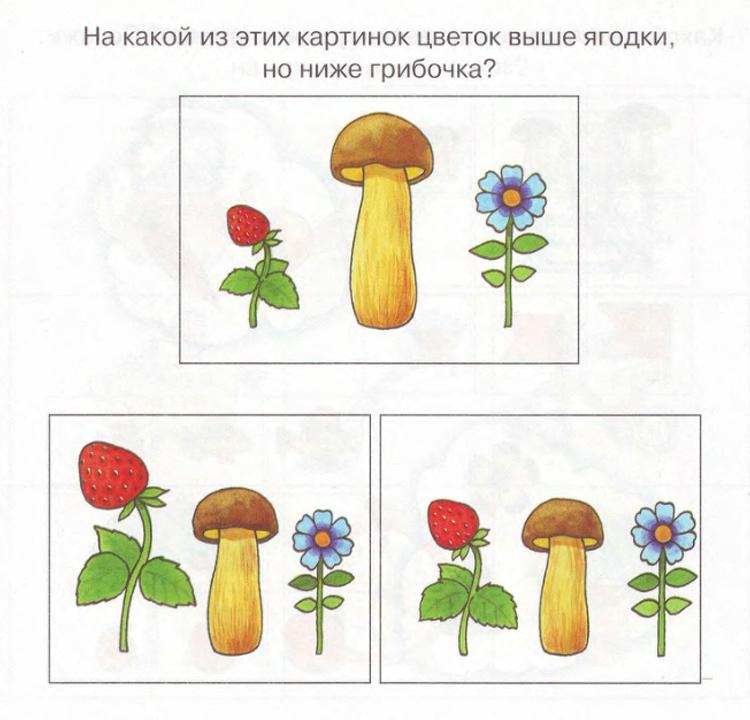 План конспект развитие памяти
