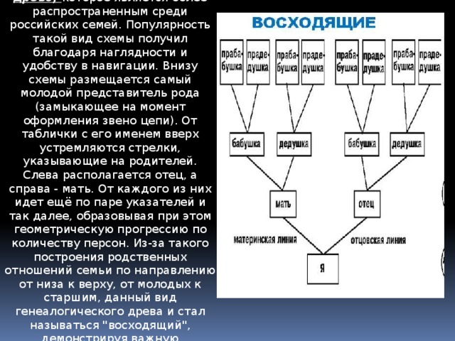 Древо родственников схема