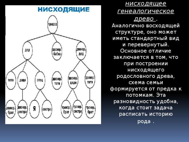 Постройте схему родословной своей семьи выясните как на судьбы ваших предков повлияли социально