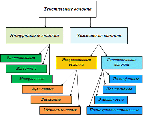 Рассмотри рисунок и определи