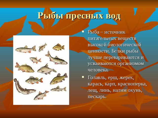 Пресная рыба. Рыбы в пресной воде. Отрядов рыб пресных вод России. Рыба источник чего. Белки рыбы называют:.