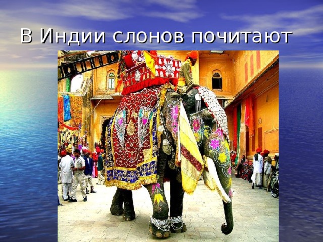 ←  Картинка с сайта 20 из 11800  →  Вернуться к результатам поиска  В Индии слонов почитают 