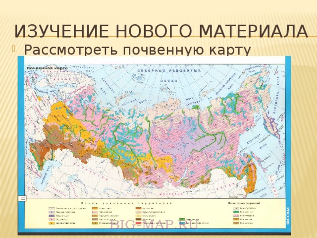 Изучение нового материала Рассмотреть почвенную карту России. 