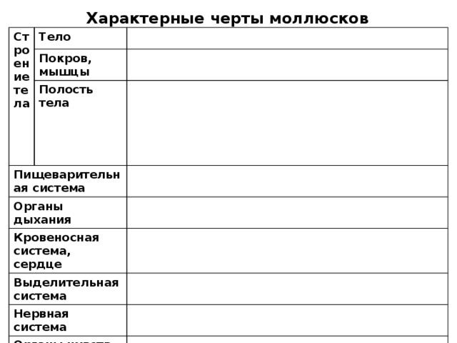 Характерные черты моллюсков Строение тела Тело Покров, мышцы Полость тела Пищеварительная система Органы дыхания  Кровеносная система, сердце Выделительная система Нервная система Органы чувств Размножение 