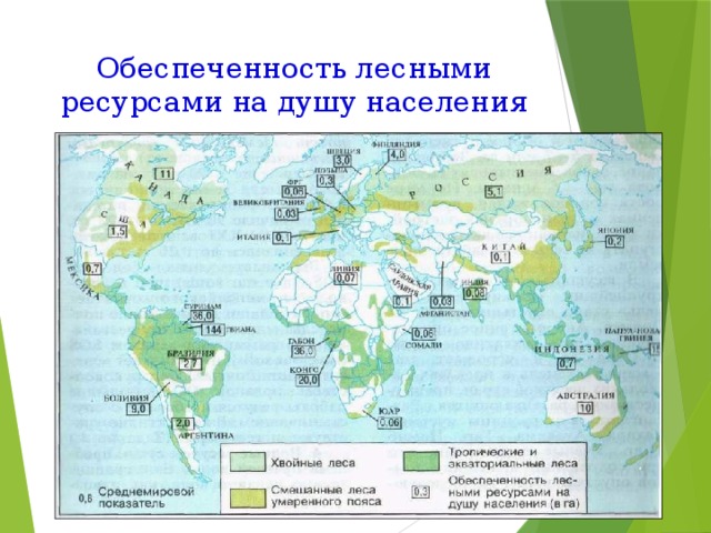 Обеспеченность лесными ресурсами на душу населения 