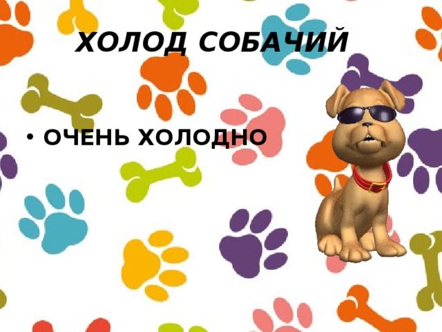 Собачий холод