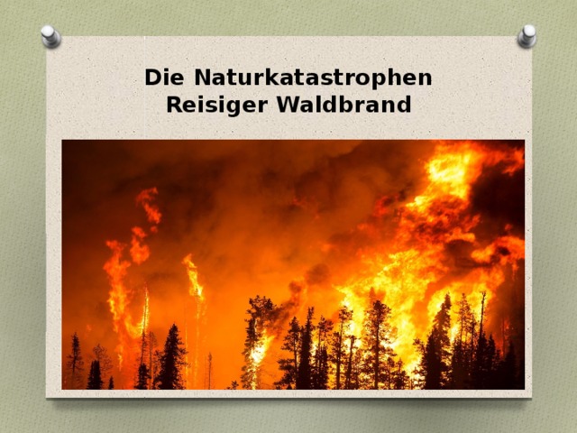 Die Naturkatastrophen  Reisiger Waldbrand 