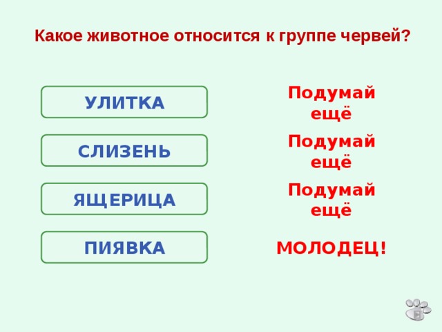 К какой группе животных относятся черви