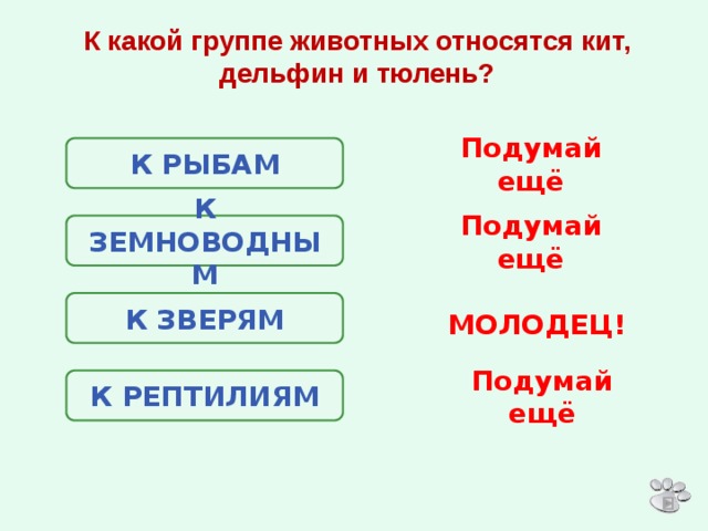 К каким животным относятся дельфины. Кит к какой группе животных относится. Кикакойгруппеживотных относится кит. Кит Дельфин тюлень к какой группе животных относится. К какой группе относятся дельфины.