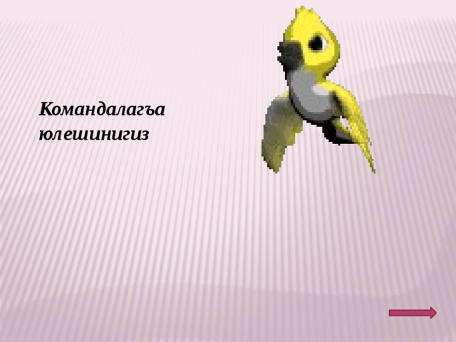 Командалагъа юлешинигиз 