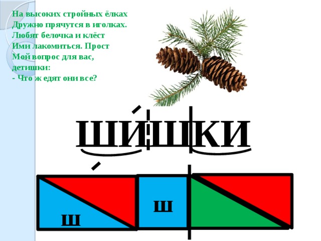 На высоких стройных ёлках Дружно прячутся в иголках. Любят белочка и клёст Ими лакомиться. Прост Мой вопрос для вас, детишки: - Что ж едят они все? ШИШКИ ш ш 