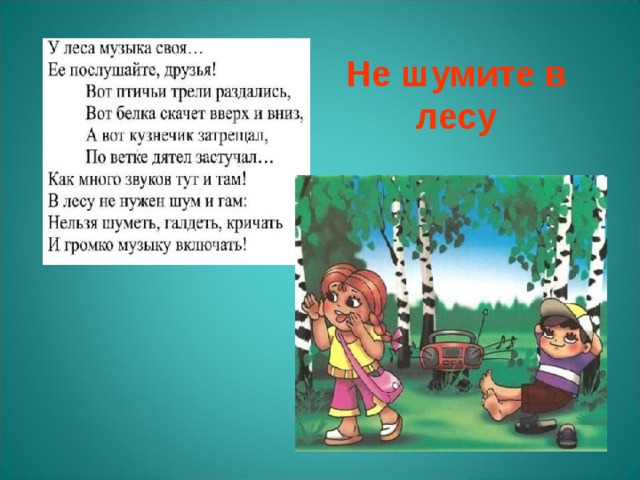 Правила поведения в лесу презентация 2 класс