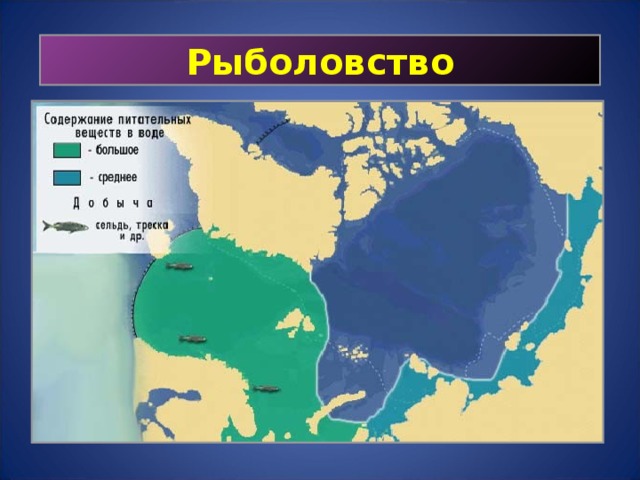 Жизнь в океане основные районы рыболовства. Деятельность человека в Атлантическом океане. Хозяйственная деятельность Атлантического океана на карте. Хозяйственная деятельность человека в Атлантическом океане. Деятельность человека в Атлантическом океане на карте.