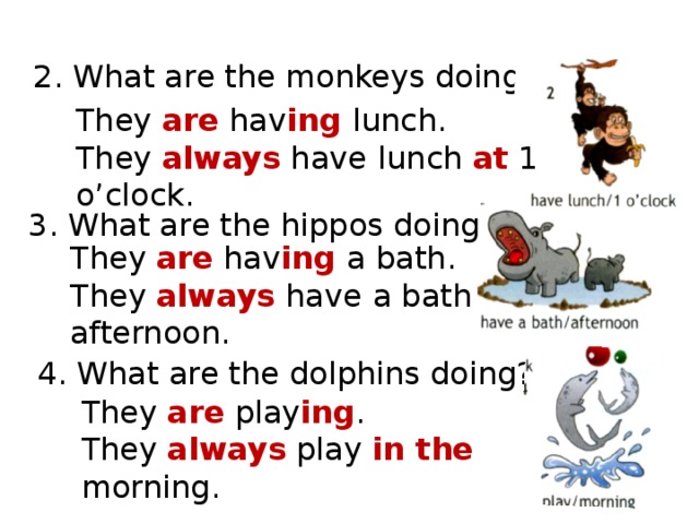 Look and play have me. They are или they have. They have lunch. Do the Monkey или does. They always have lunch at 1.30. Или they always have the lunch at 1.30..