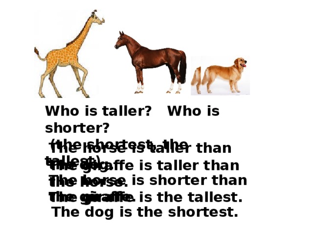 Who is Taller. Dogs are than Horses перевод. A Horse is faster than a Dog. A Horse is Tall than a Sheep.