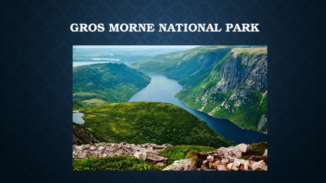   Gros Morne National Park   
