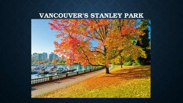 Vancouver's Stanley Park   