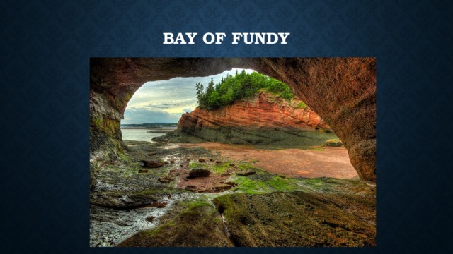 Bay of Fundy   