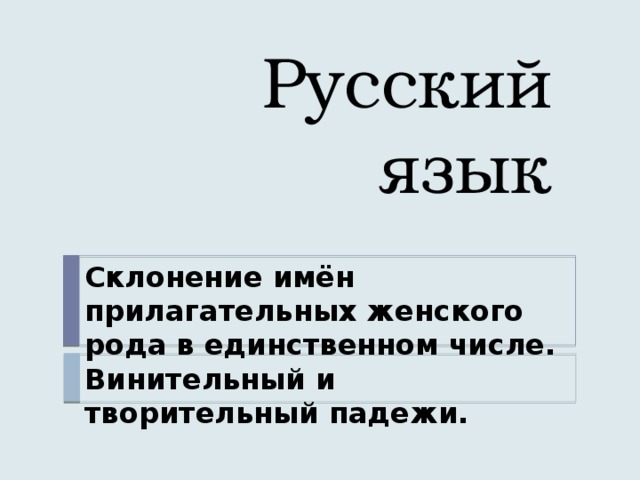 Русский язык Склонение имён прилагательных женского рода в единственном числе. Винительный и творительный падежи. 
