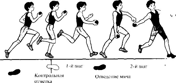 Ширина коридора для метания мяча на дальность