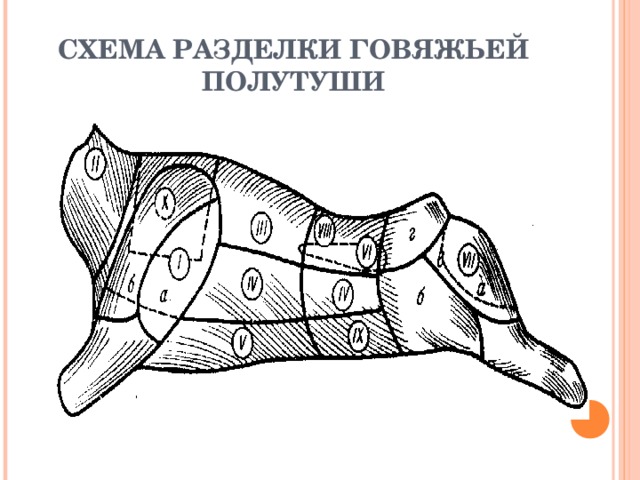 Схема разделки говяжьей полутуши