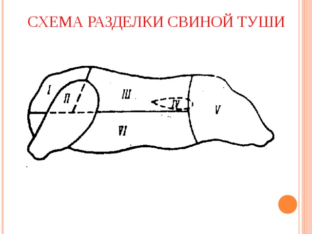 СХЕМА РАЗДЕЛКИ СВИНОЙ ТУШИ 