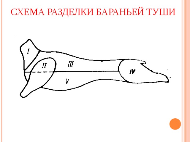 Обвалка баранины схема