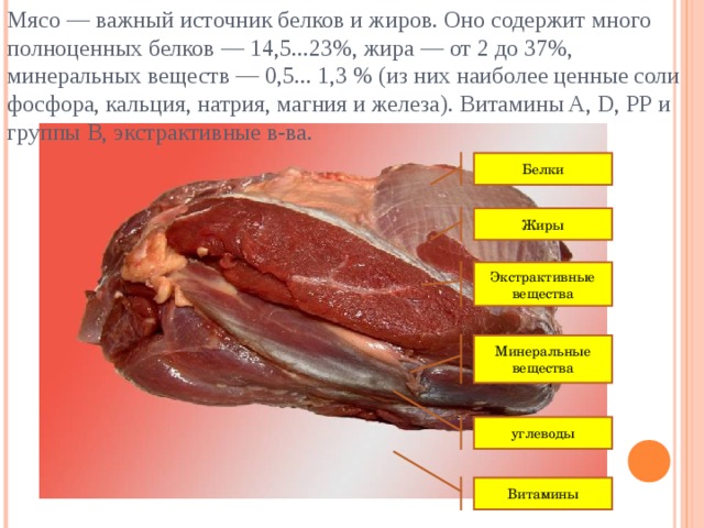 Мясо — важный источник белков и жиров. Оно содержит много полноценных белков — 14,5...23%, жира — от 2 до 37%, минеральных веществ — 0,5... 1,3 % (из них наиболее ценные соли фосфора, кальция, натрия, магния и железа). Витамины A, D, РР и группы В, экстрактивные в-ва. Белки Жиры Экстрактивные вещества Минеральные вещества углеводы Витамины 