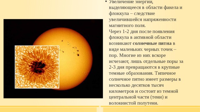Увеличение энергии, выделяющееся в области факела и флоккула – следствие увеличившейся напряженности магнитного поля.  Через 1-2 дня после появления флоккула в активной области возникают  солнечные пятна  в виде маленьких черных точек – пор. Многие из них вскоре исчезают, лишь отдельные поры за 2-3 дня превращаются в крупные темные образования. Типичное солнечное пятно имеет размеры в несколько десятков тысяч километров и состоит из темной центральной части (тени) и волокнистой полутени. 