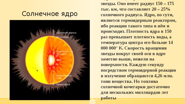 Ядро – это центральная часть звезды. Оно имеет радиус 150 – 175 тыс. км, что составляет 20 – 25% солнечного радиуса. Ядро, по сути, является термоядерным реактором, ибо реакции такого типа в нём и происходят. Плотность ядра в 150 раз превышает плотность воды, а температура центра его больше 14 000 000° К. Скорость вращения звезды вокруг своей оси в ядре заметно выше, нежели на поверхности. Каждую секунду посредством термоядерной реакции в излучение обращаются 4,26 млн. тонн вещества. Но топлива солнечной кочегарки достаточно для нескольких миллиардов лет работы Солнечное ядро   