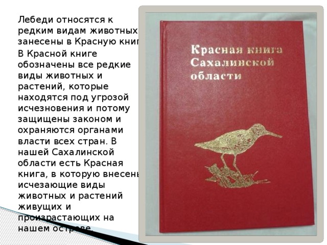 Книга занесенные. Растения и животные Сахалина занесенные в красную книгу. Красная книга Сахалинской области книга. Животные Сахалинской области занесенные в красную книгу. Красная книга Сахалинской области животные и растения.