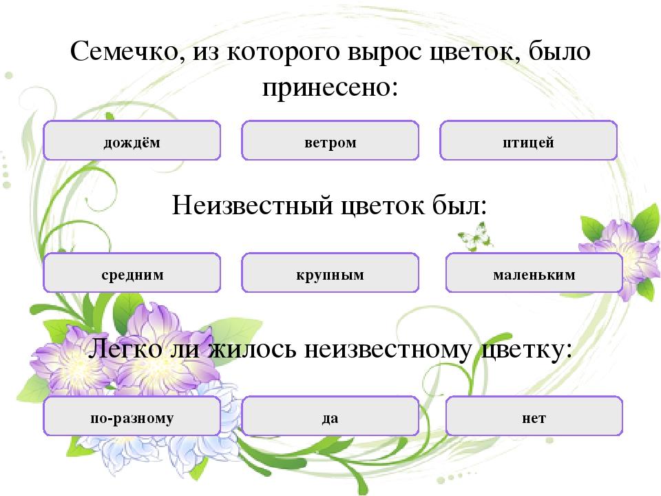 Цветок на земле 3 класс презентация