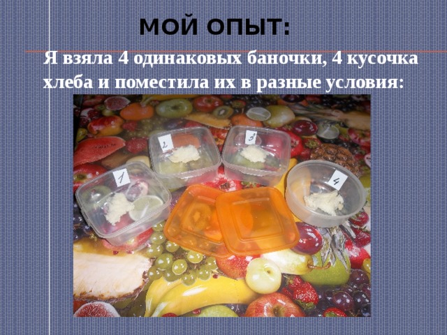 Мой опыт:  Я взяла 4 одинаковых баночки, 4 кусочка хлеба и поместила их в разные условия: 