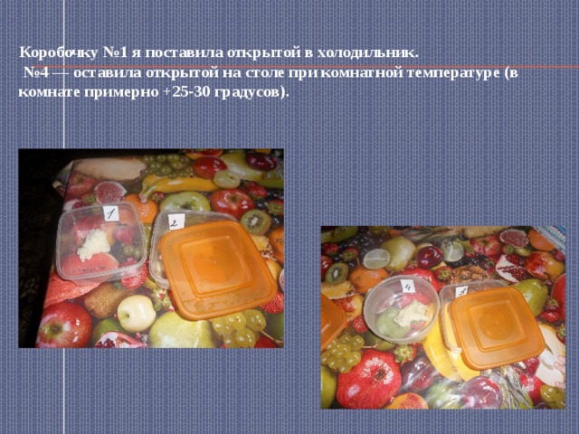   Коробочку №1 я поставила открытой в холодильник.  №4 — оставила открытой на столе при комнатной температуре (в комнате примерно +25-30 градусов).    