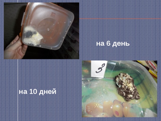 на 6 день на 10 дней 