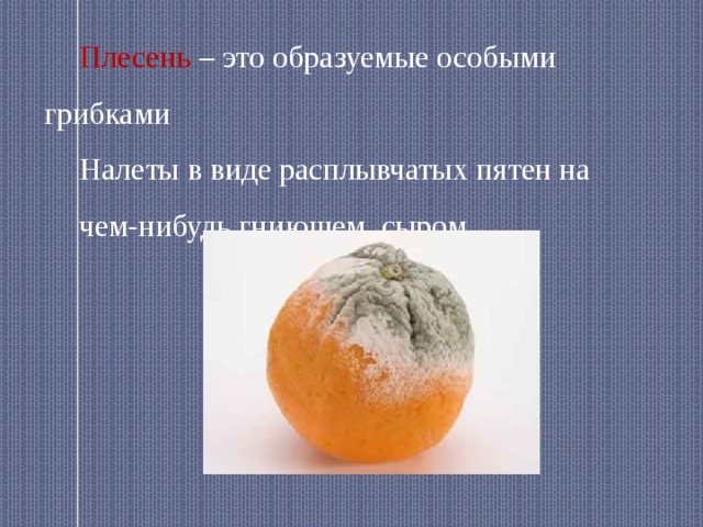 Плесень – это образуемые особыми грибками Налеты в виде расплывчатых пятен на чем-нибудь гниющем, сыром 