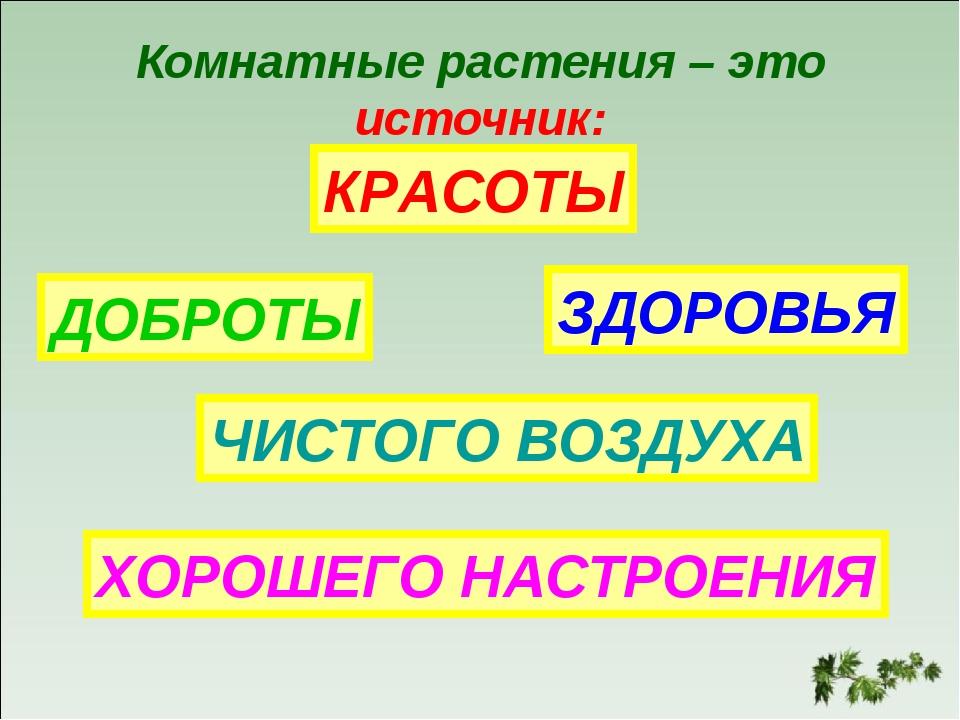 Окружающий мир 2 класс комнатные растения презентация. Комнатные растения презентация. Презентация комнатные растения это источник. Комнатные растения 2 класс презентация. Комнатные цветы презентация 2 класс.