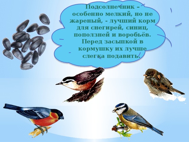Подсолнечник – особенно мелкий, но не жареный, - лучший корм для снегирей, синиц, поползней и воробьёв. Перед засыпкой в кормушку их лучше слегка подавить . 