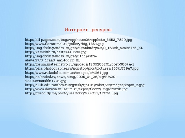 Интернет –ресурсы http://all-pages.com/img/repphotos2/repphoto_3653_7829.jpg http://www.floranimal.ru/gallery/big/1351.jpg http://img-fotki.yandex.ru/get/39/ankudrya.2/0_169cb_a2a267e5_XL http://kemclub.ru/best/3440680.jpg http://img-fotki.yandex.ru/get/3111/astra-alaya.27/0_1caa0_4a14dd22_XL http://forum.materinstvo.ru/uploads/1206285201/post-38074-1 http://pics.photographer.ru/nonstop/pics/pictures/153/153947.jpg http://www.rukodelie.com.ua/images/b/4261.jpg http://as.baikal.tv/news/nimg/2005_01_26/big/R%20-%20Kormushki1701.jpg http://club-edu.tambov.ru/vjpusk/vjp101/rabot/22/images/kopm_2.jpg http://www.darwin.museum.ru/expos/floor2/Img/drozdb.jpg http://gorod.dp.ua/photo/userfoto/2007/11/12/795.jpg 