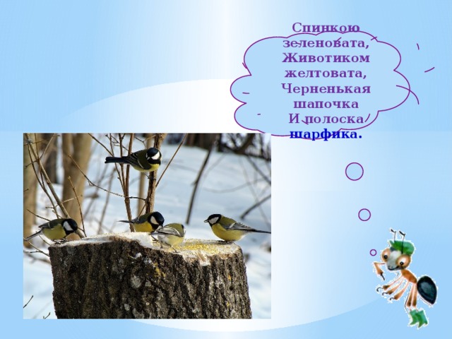  Спинкою зеленовата,  Животиком желтовата,  Черненькая шапочка  И полоска шарфика.   