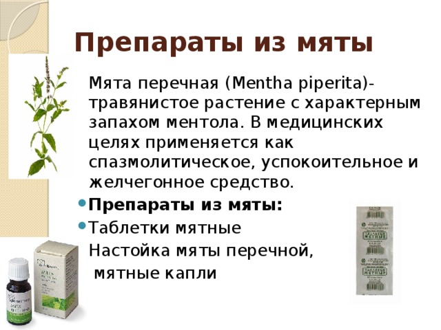 Препараты из мяты Мята перечная (Mentha piperita)-травянистое растение с характерным запахом ментола. В медицинских целях применяется как спазмолитическое, успокоительное и желчегонное средство.  Препараты из мяты: Таблетки мятные Настойка мяты перечной,  мятные капли 