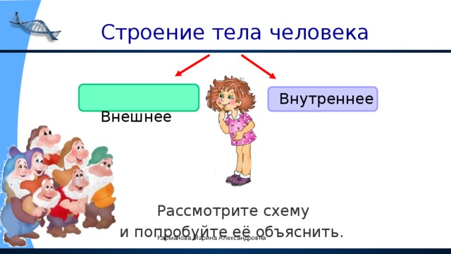 Строение тела человека  Внешнее Внутреннее  Рассмотрите схему и попробуйте её объяснить. Карманова Марина Александровна