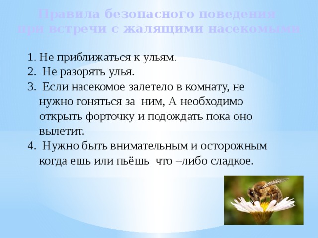 Как избежать опасности при встрече с жалящими насекомыми