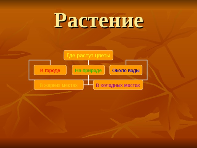 Растение Где растут цветы В городе На природе Около воды В жарких местах В холодных местах 