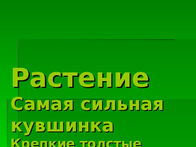 Растение   Самая сильная кувшинка   Крепкие толстые плавающие листья амазонской кувшинки могут удержать на воде ребёнка. 