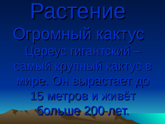 Растение    Огромный кактус   Цереус гигантский – самый крупный кактус в мире. Он вырастает до 15 метров и живёт больше 200 лет. 