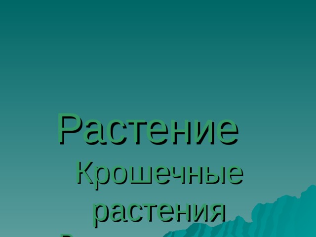 Растение  Крошечные растения  Ряска – это самое маленькое цветущее растение, похожее на накипь на воде. 