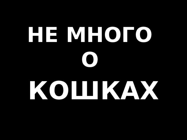 НЕ МНОГО  О   КОШКАХ 