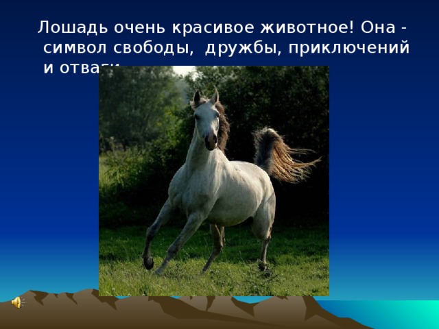  Лошадь очень красивое животное! Она - символ свободы, дружбы, приключений и отваги. 